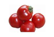Шаста F1 - томат детерминантный, (Lark Seeds) фото, цена